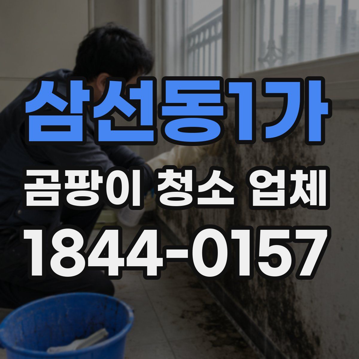 삼선동1가 곰팡이 청소 업체