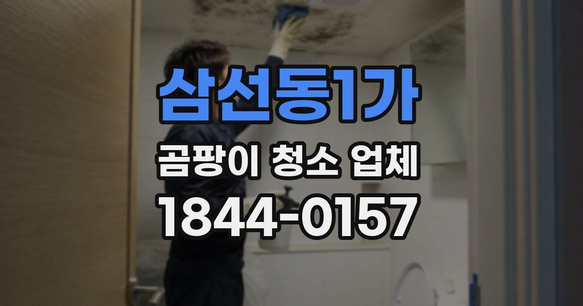 삼선동1가 곰팡이 청소 업체