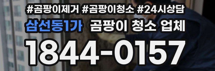 삼선동1가 곰팡이 청소 업체