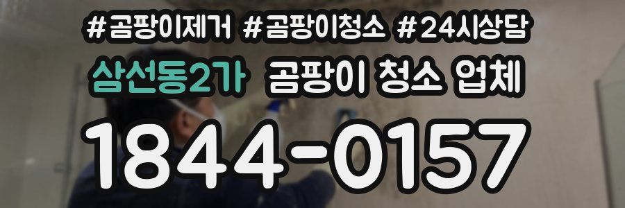 삼선동2가 곰팡이 청소 업체