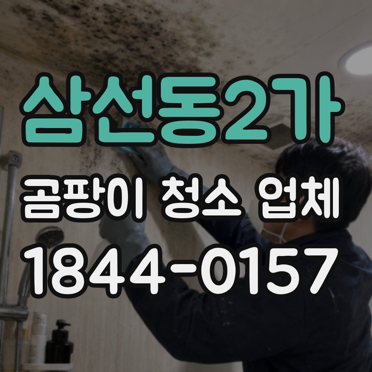 삼선동2가 곰팡이 청소 업체