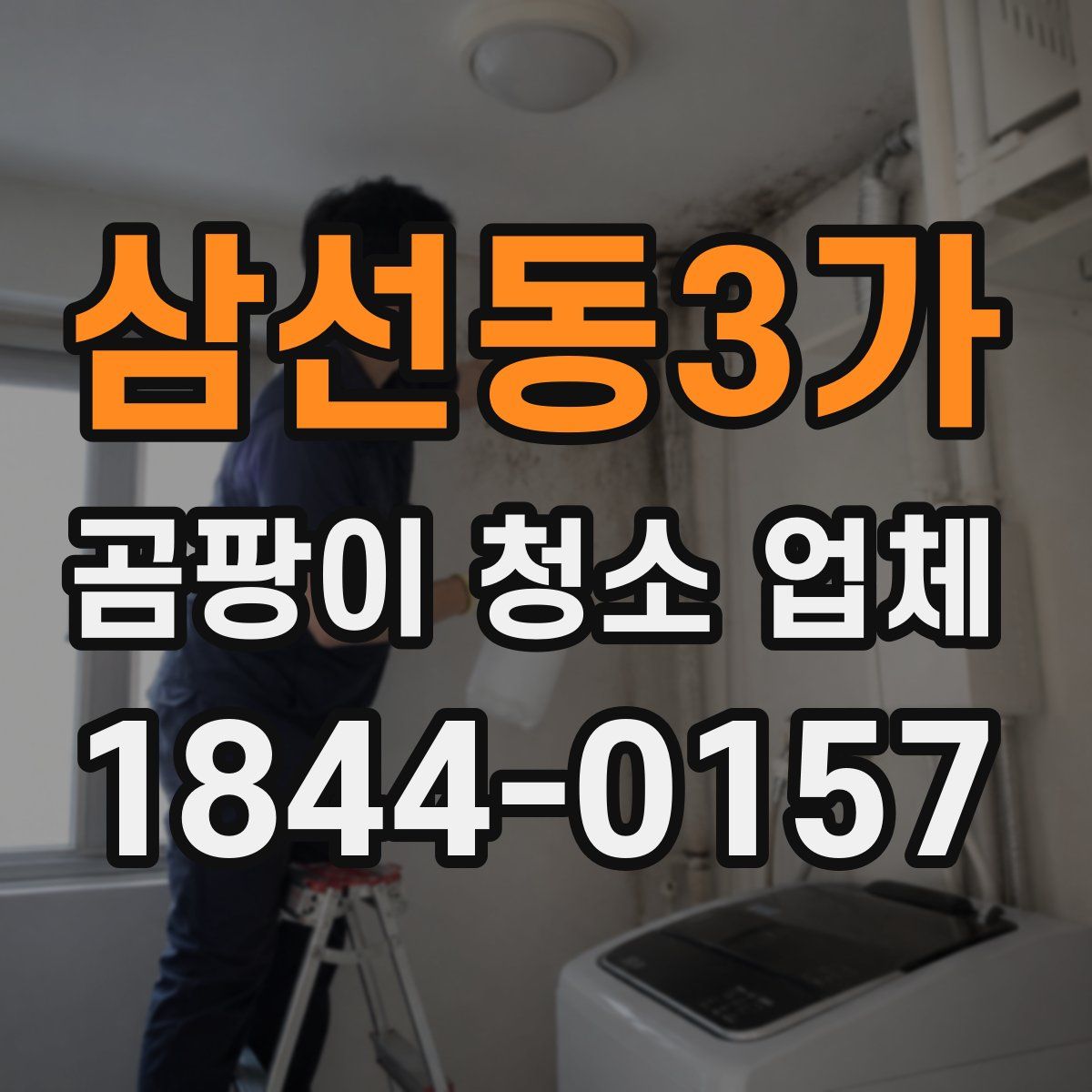 삼선동3가 곰팡이 청소 업체