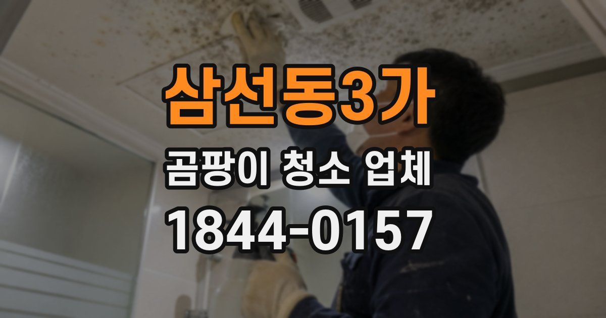 삼선동3가 곰팡이 청소 업체