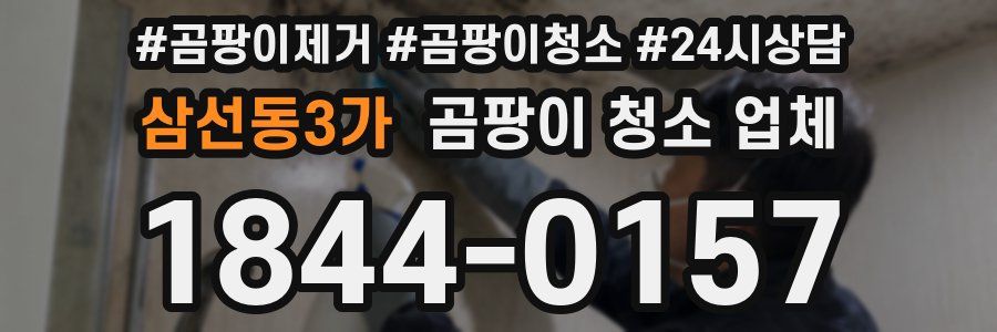 삼선동3가 곰팡이 청소 업체