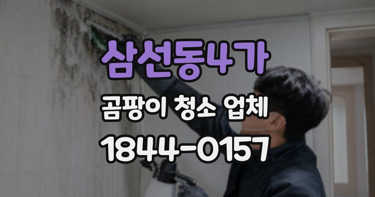 삼선동4가 곰팡이 청소 업체