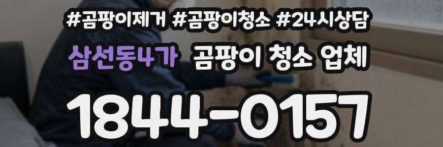 삼선동4가 곰팡이 청소 업체