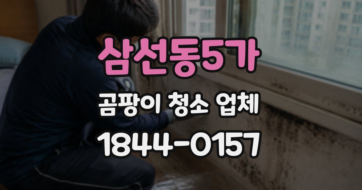 삼선동5가 곰팡이 청소 업체