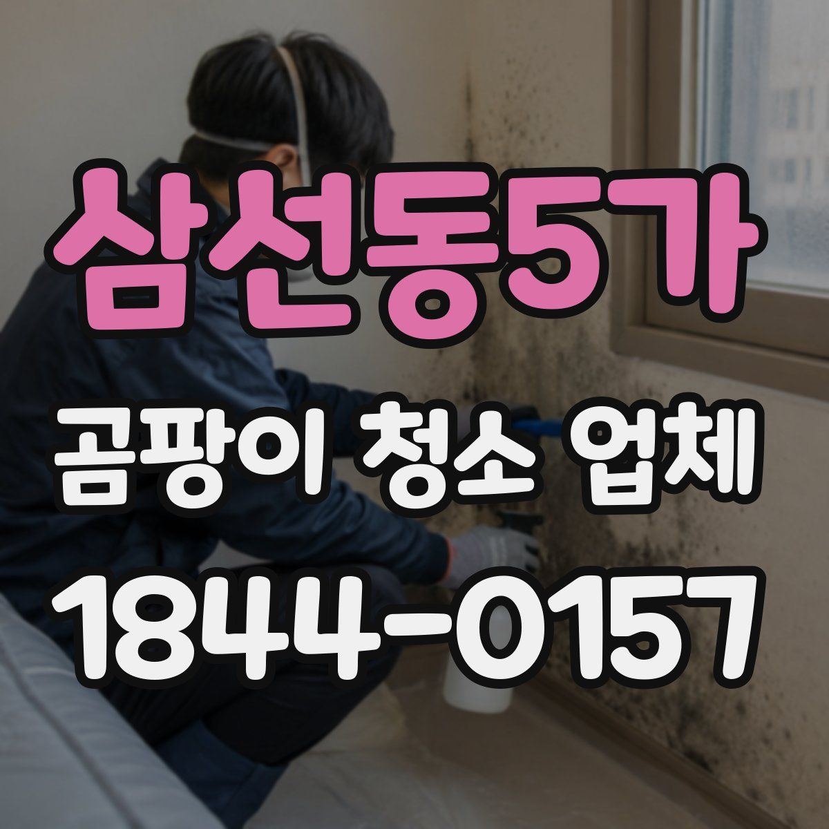 삼선동5가 곰팡이 청소 업체