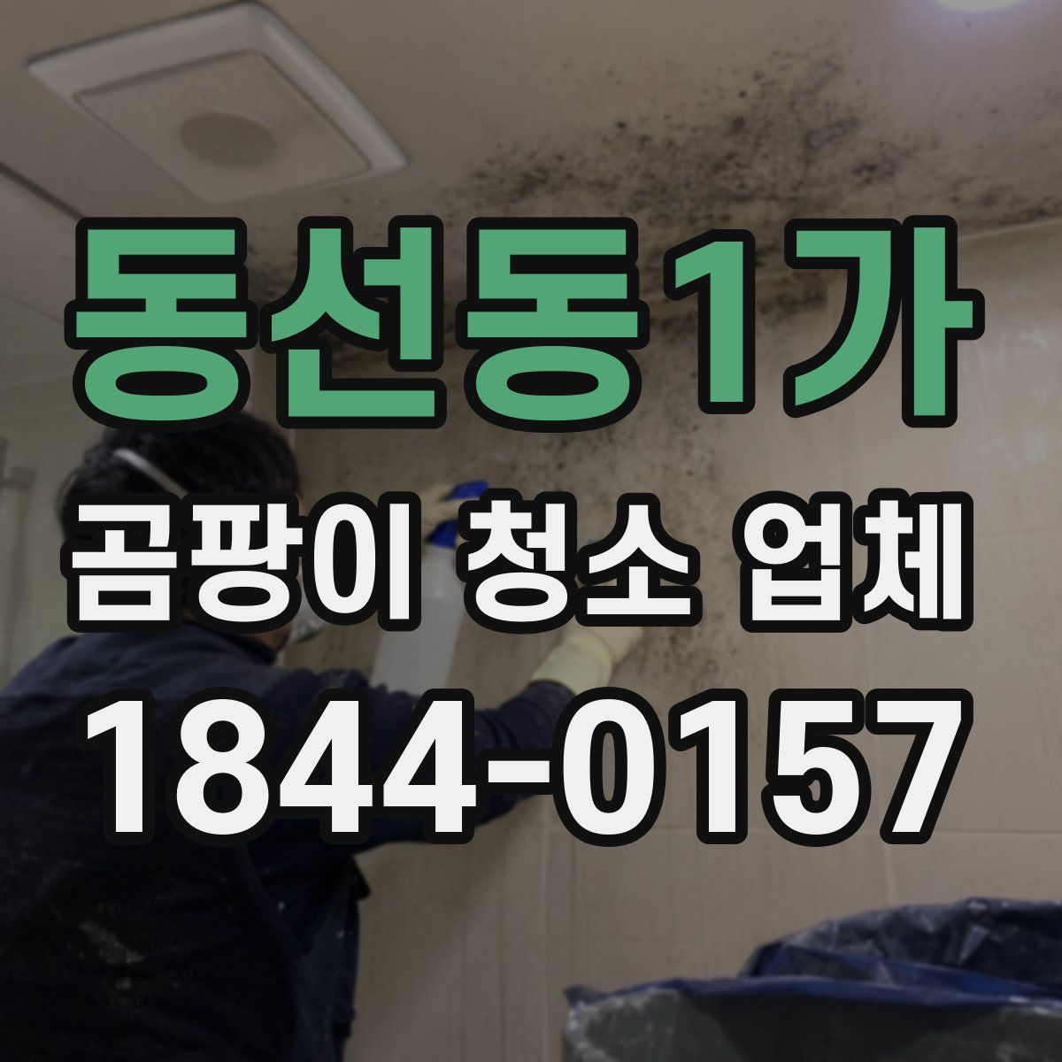 동선동1가 곰팡이 청소 업체