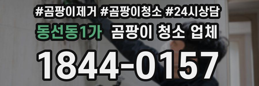 동선동1가 곰팡이 청소 업체