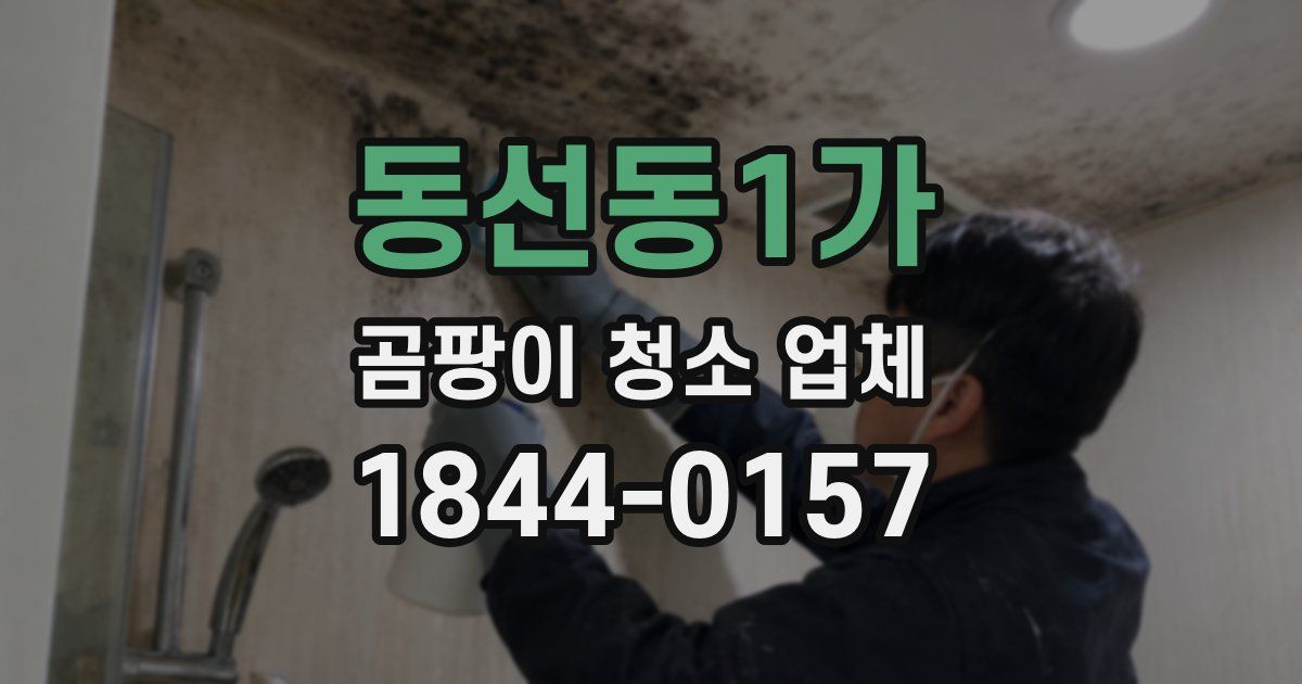 동선동1가 곰팡이 청소 업체