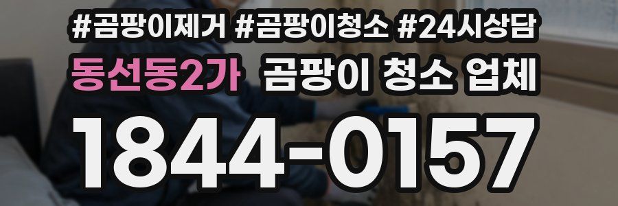 동선동2가 곰팡이 청소 업체