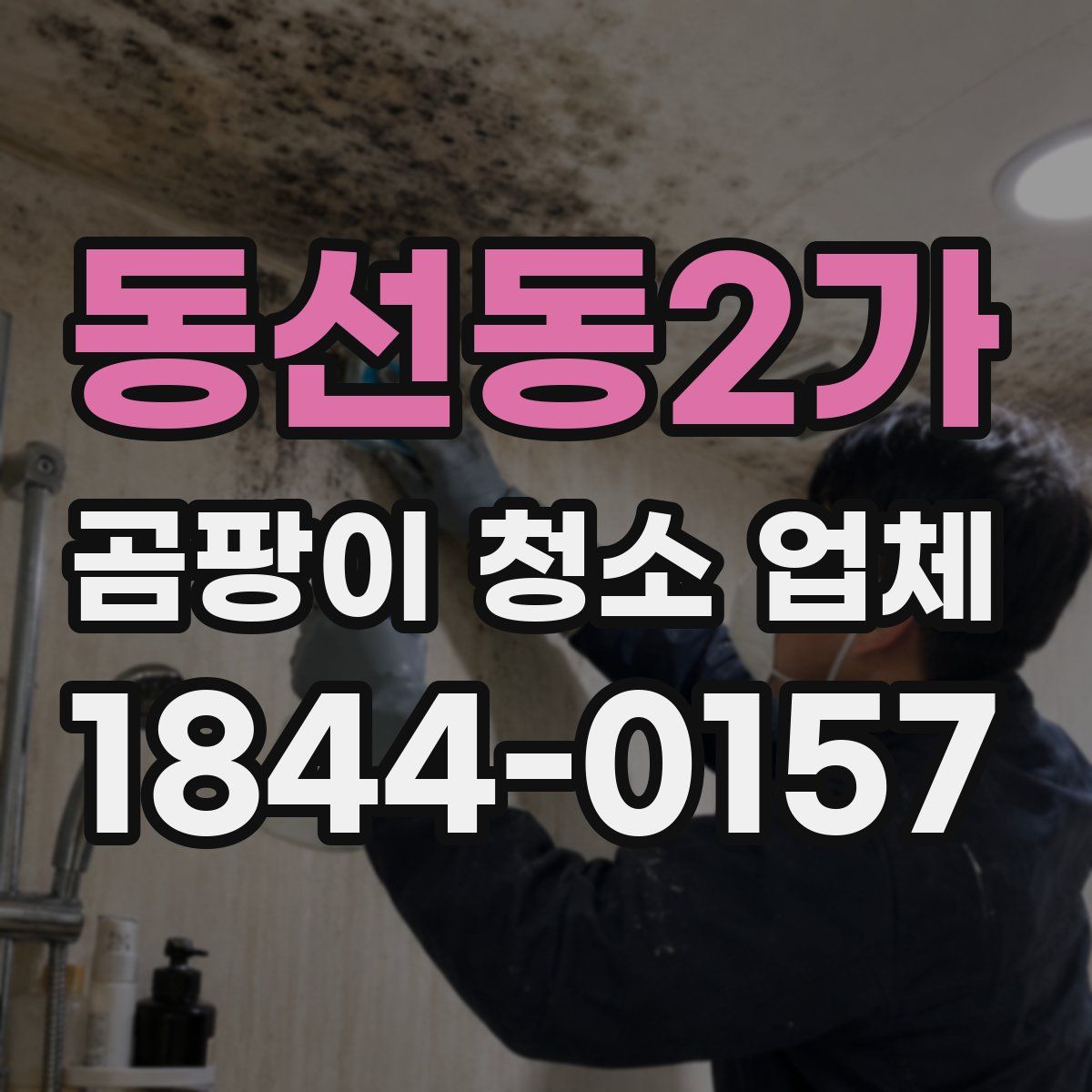 동선동2가 곰팡이 청소 업체