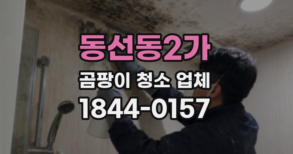 동선동2가 곰팡이 청소 업체