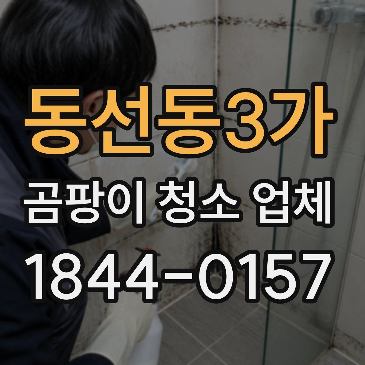 동선동3가 곰팡이 청소 업체