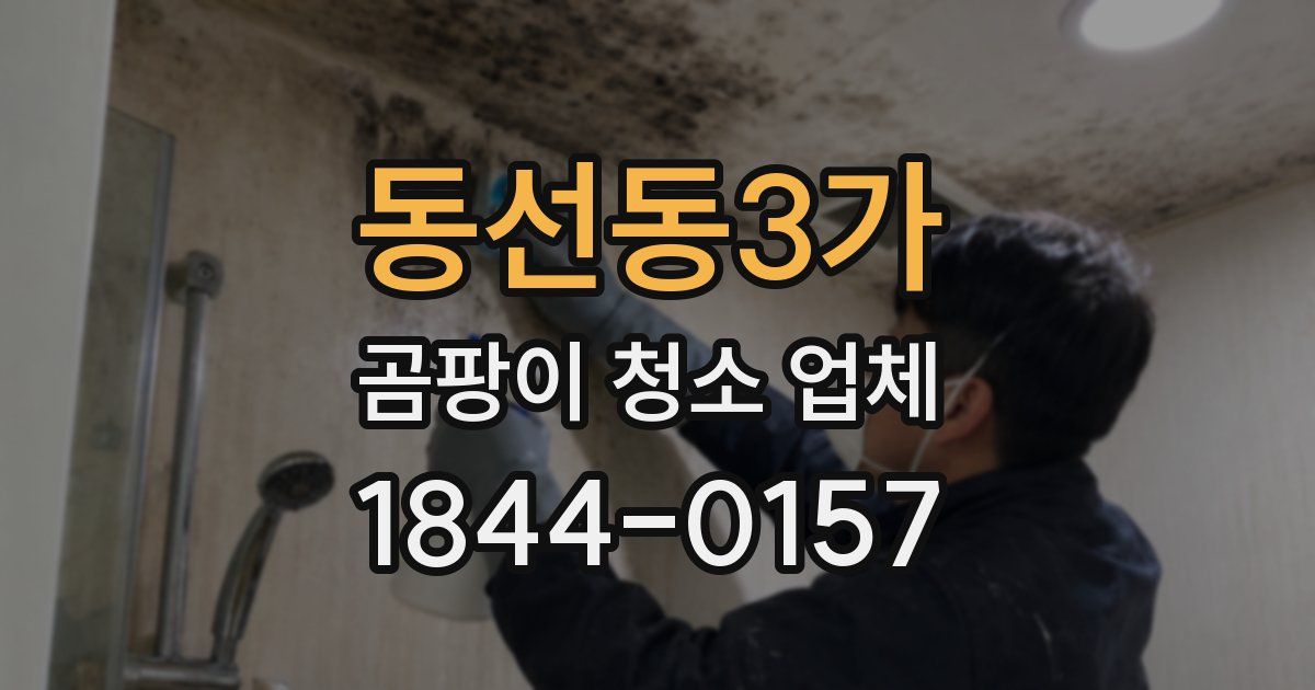 동선동3가 곰팡이 청소 업체