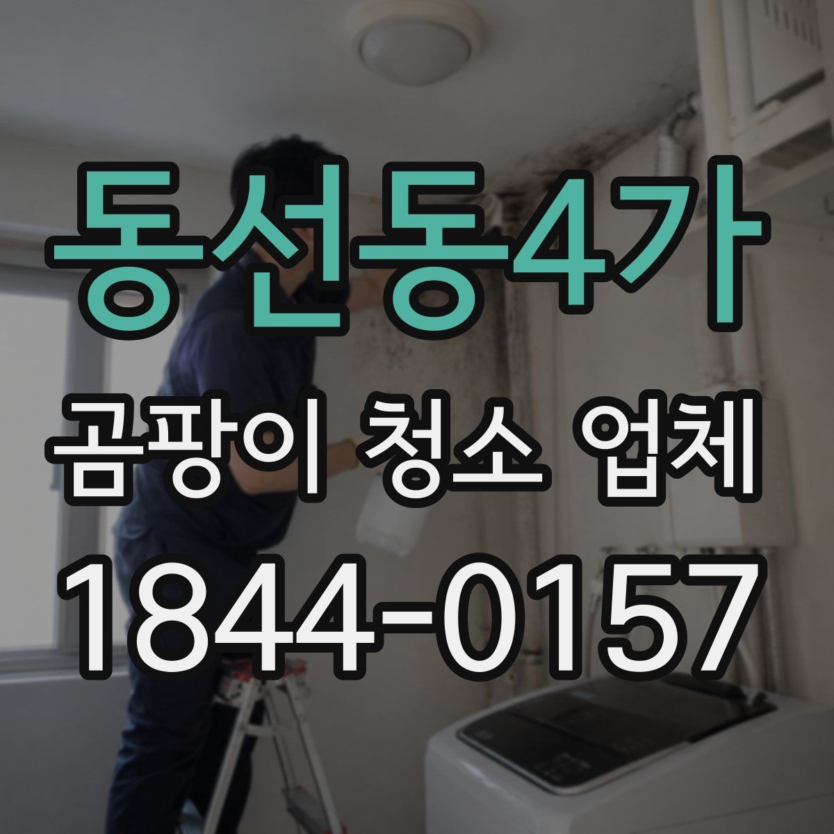 동선동4가 곰팡이 청소 업체 새집과 오래된 집의 곰팡이 관리 차이