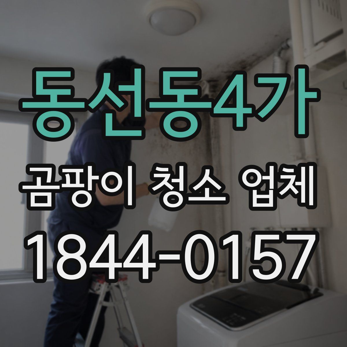 동선동4가 곰팡이 청소 업체