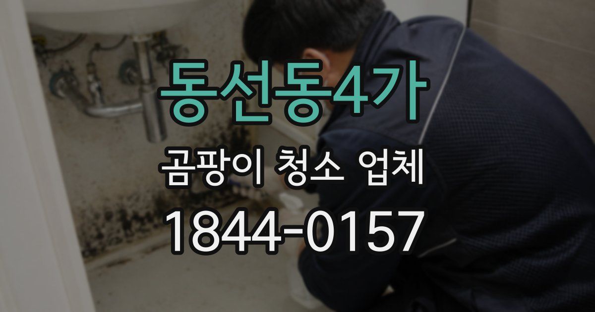 동선동4가 곰팡이 청소 업체