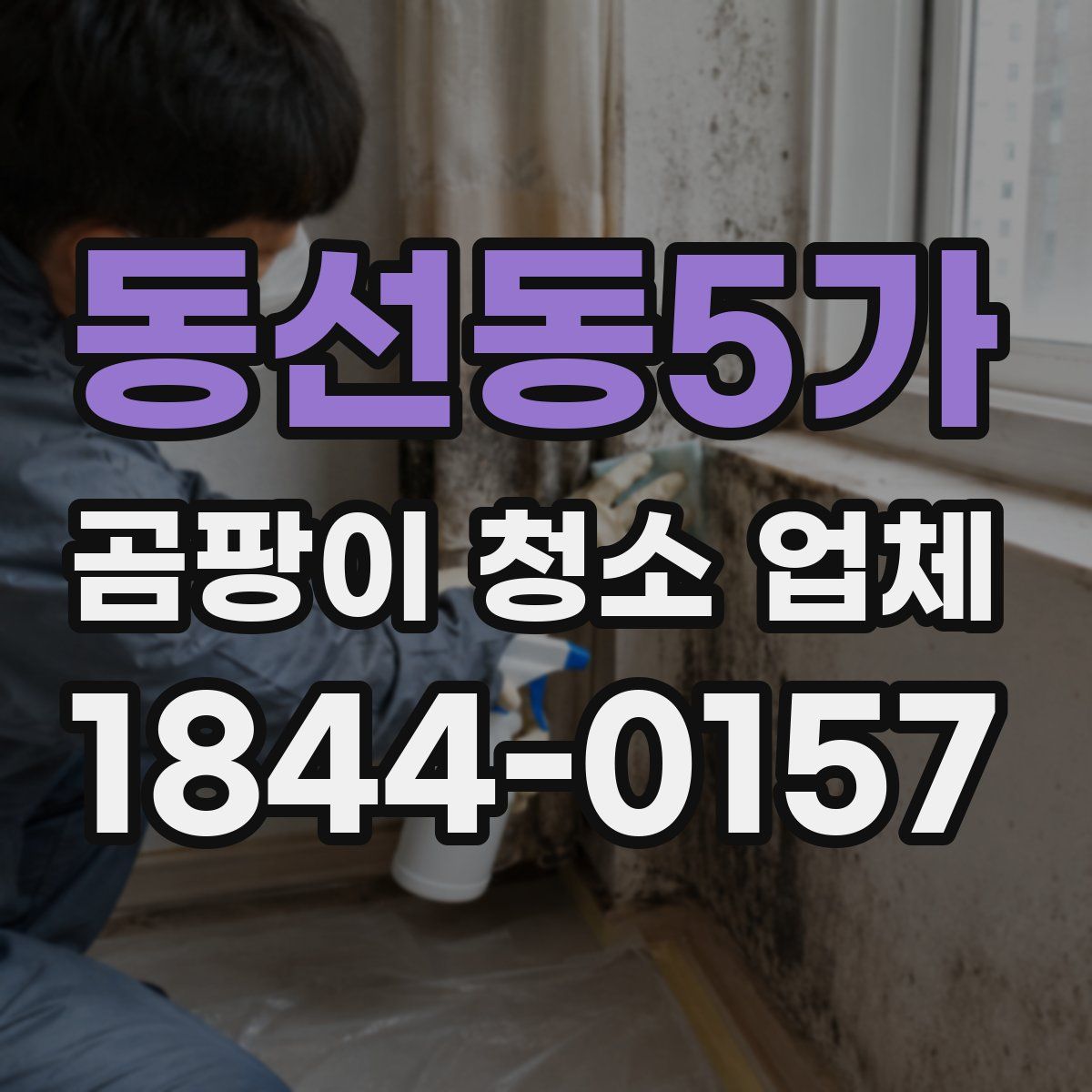 동선동5가 곰팡이 청소 업체