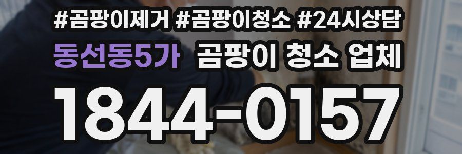 동선동5가 곰팡이 청소 업체