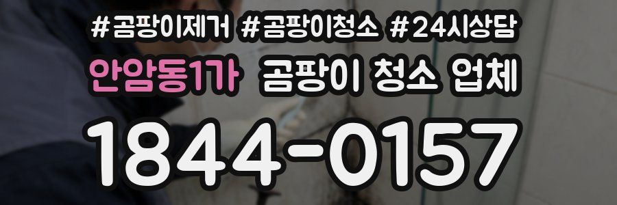 안암동1가 곰팡이 청소 업체