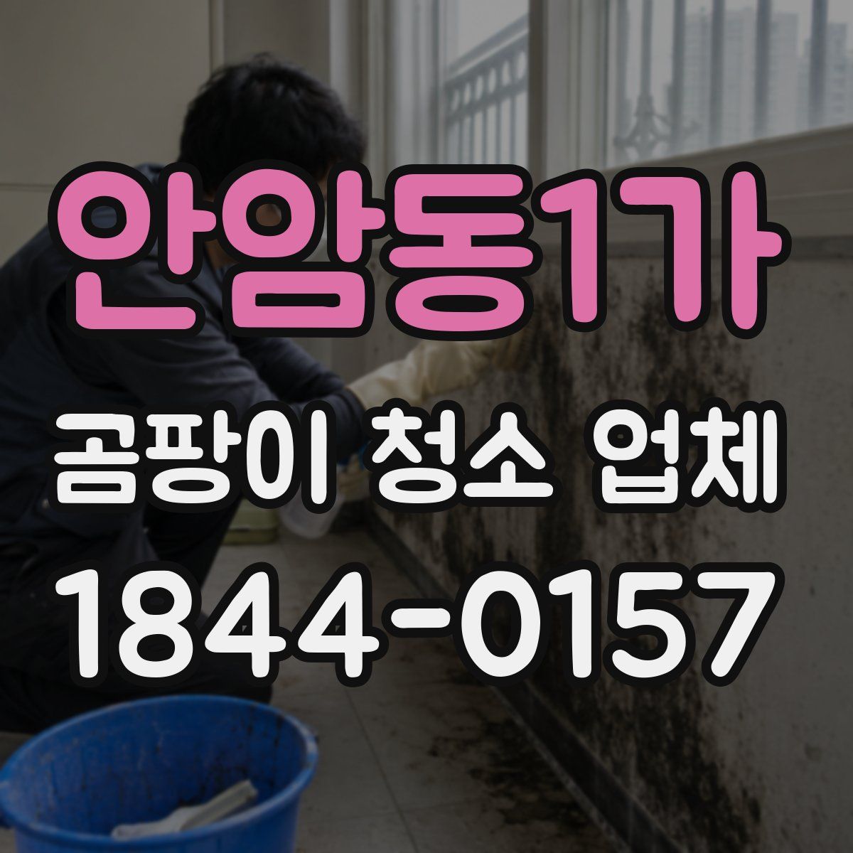 안암동1가 곰팡이 청소 업체
