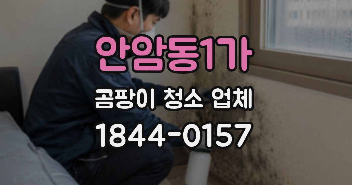안암동1가 곰팡이 청소 업체
