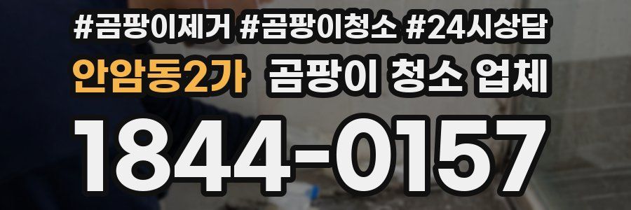 안암동2가 곰팡이 청소 업체