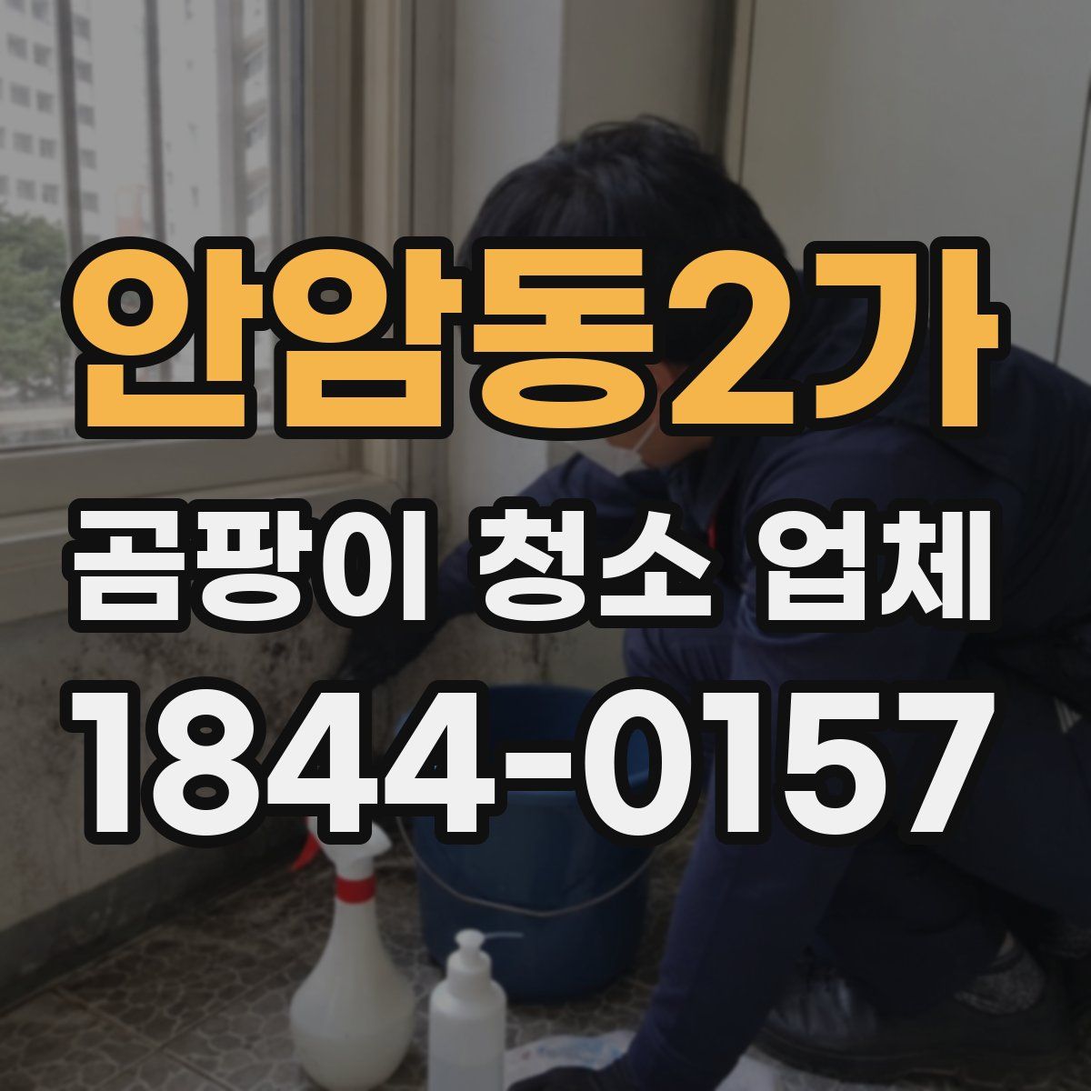 안암동2가 곰팡이 청소 업체