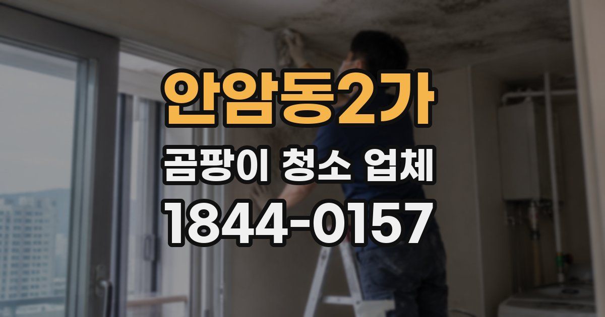 안암동2가 곰팡이 청소 업체