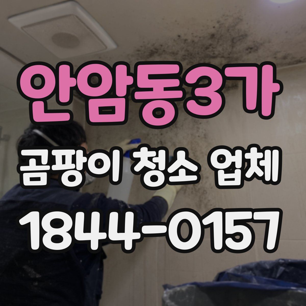 안암동3가 곰팡이 청소 업체