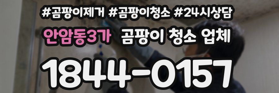 안암동3가 곰팡이 청소 업체