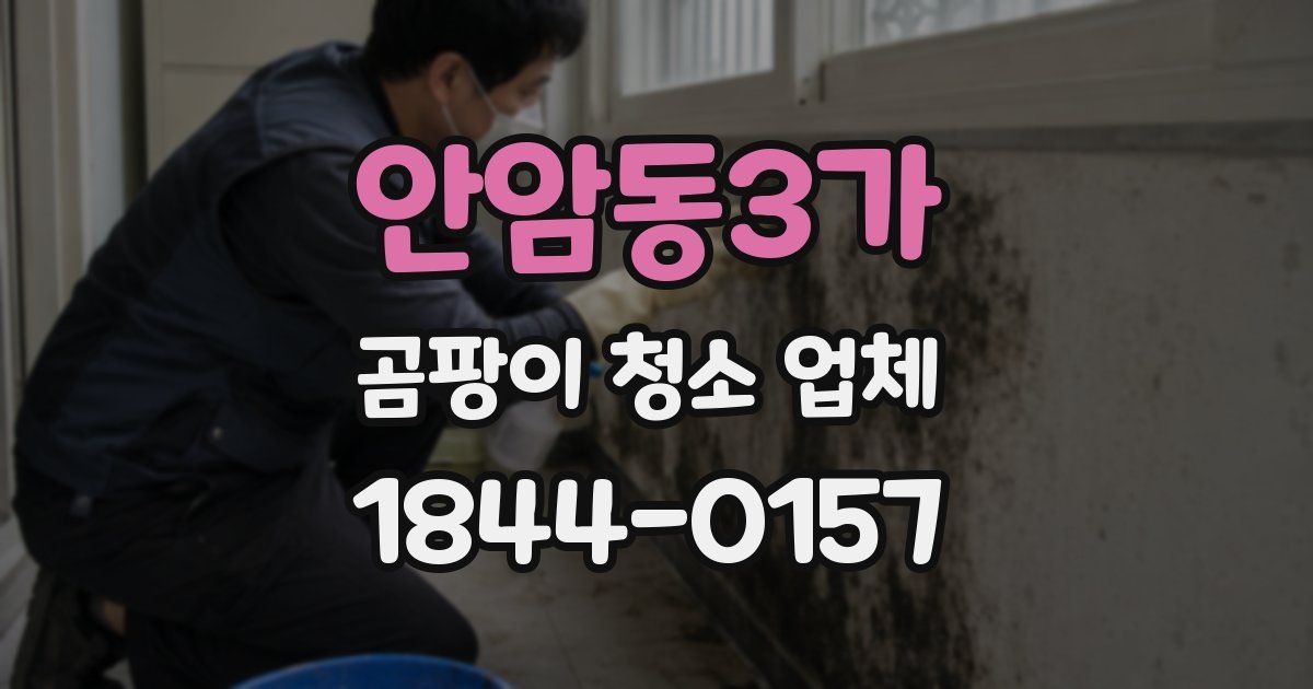 안암동3가 곰팡이 청소 업체