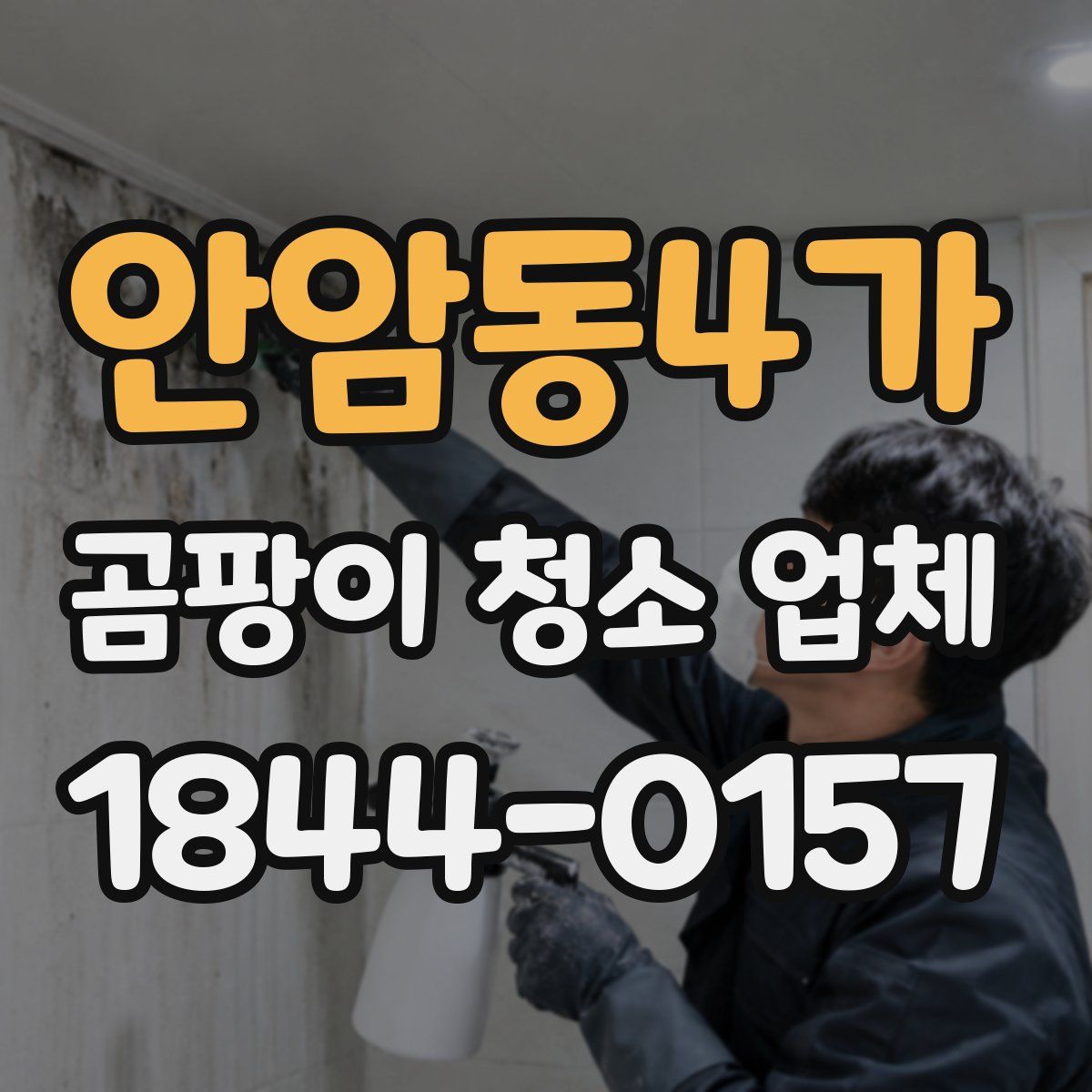 안암동4가 곰팡이 청소 업체