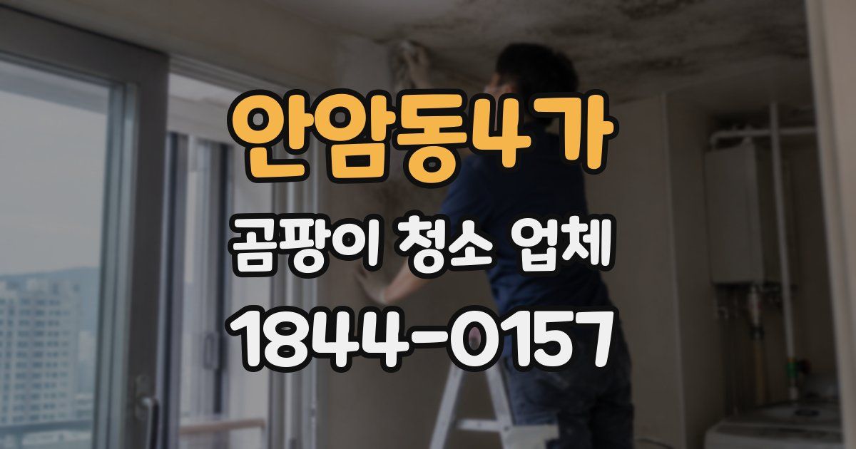 안암동4가 곰팡이 청소 업체