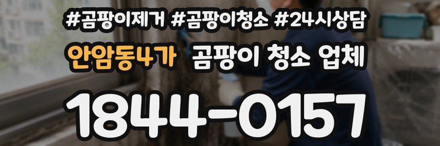 안암동4가 곰팡이 청소 업체