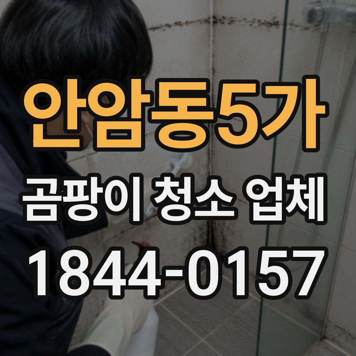 안암동5가 곰팡이 청소 업체