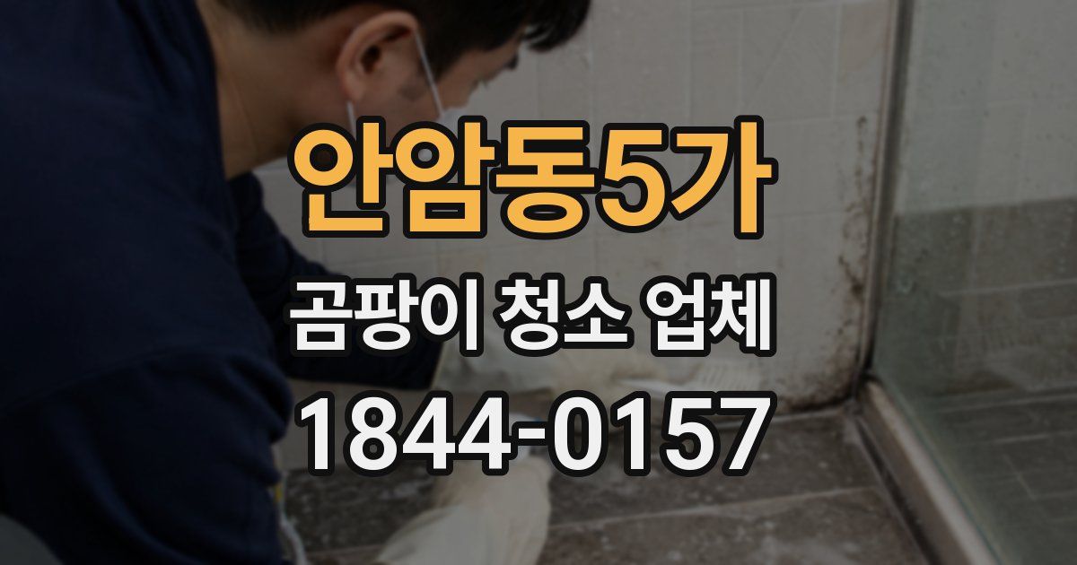 안암동5가 곰팡이 청소 업체