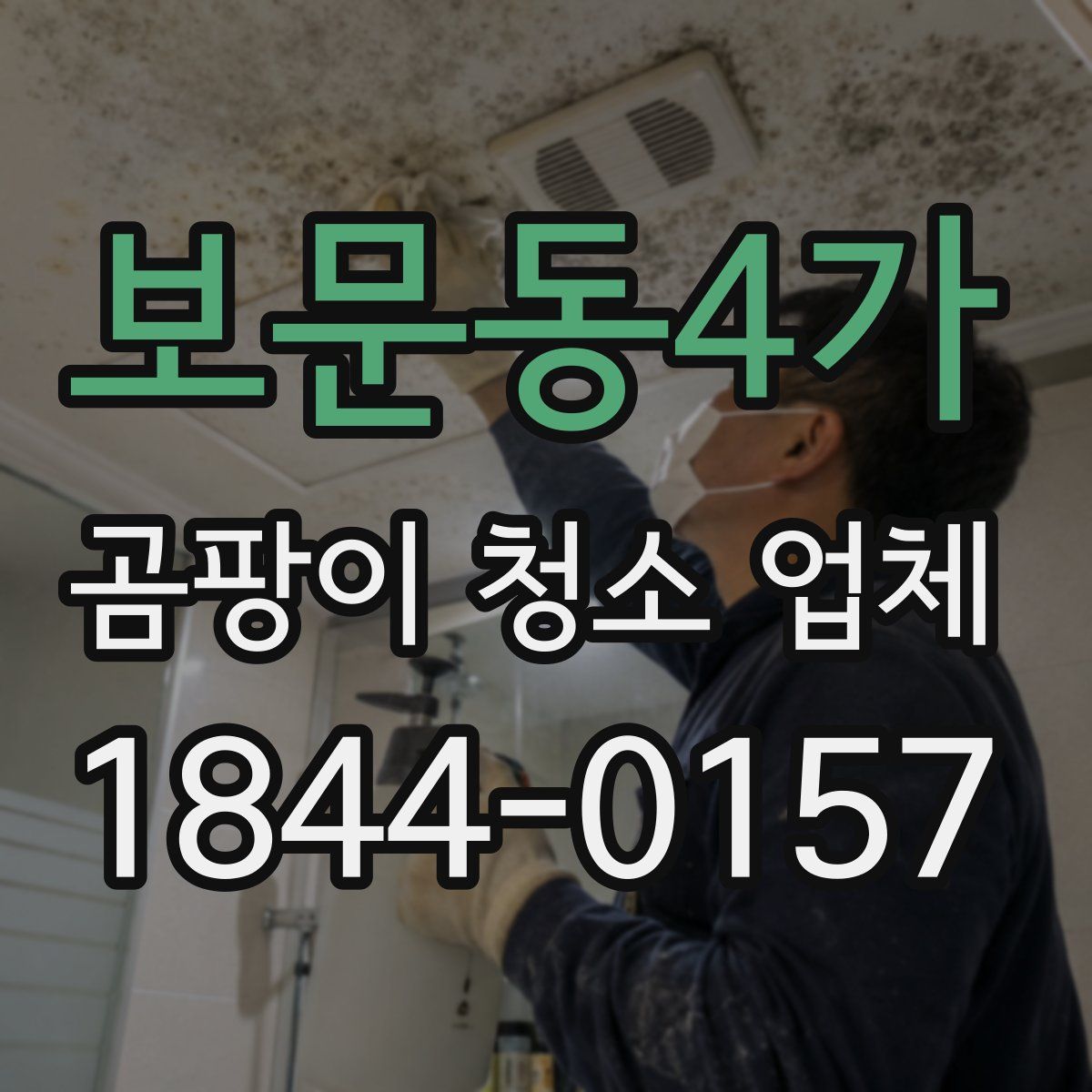 보문동4가 곰팡이 청소 업체