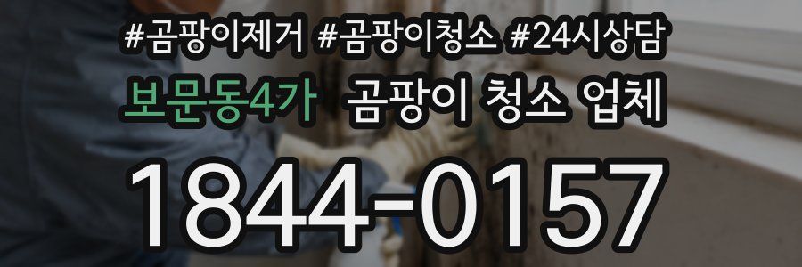 보문동4가 곰팡이 청소 업체