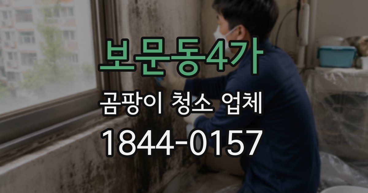 보문동4가 곰팡이 청소 업체