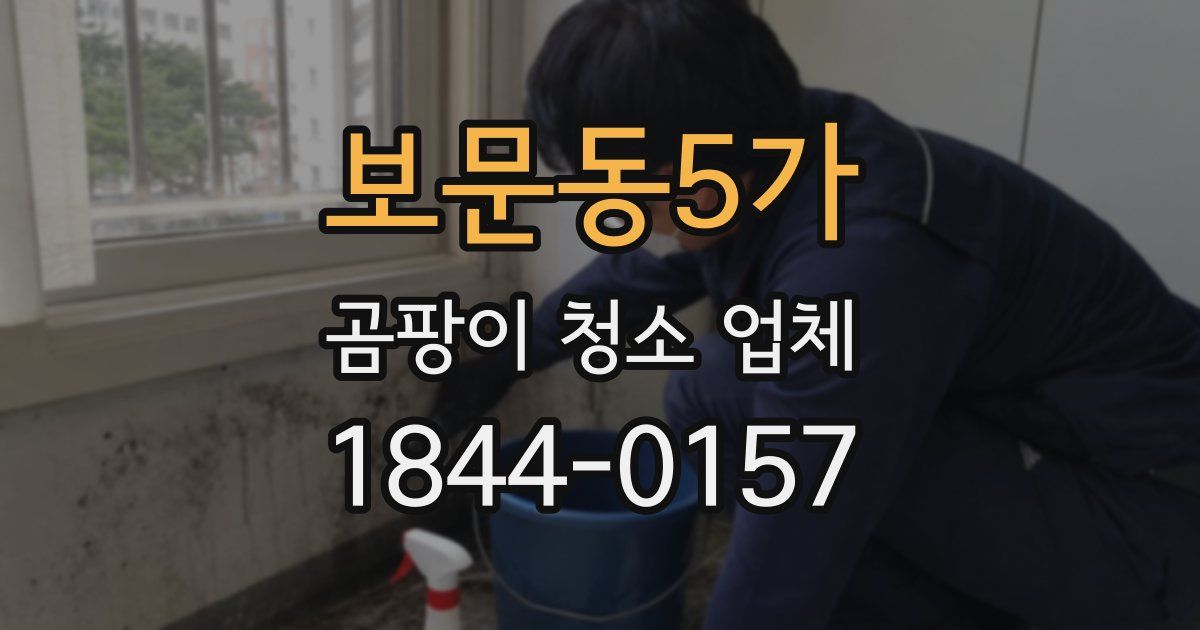 보문동5가 곰팡이 청소 업체