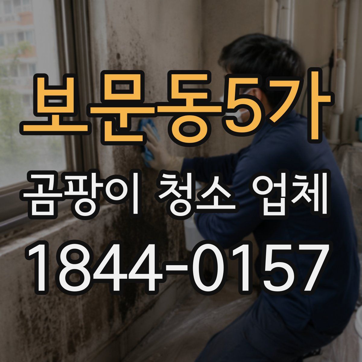 보문동5가 곰팡이 청소 업체