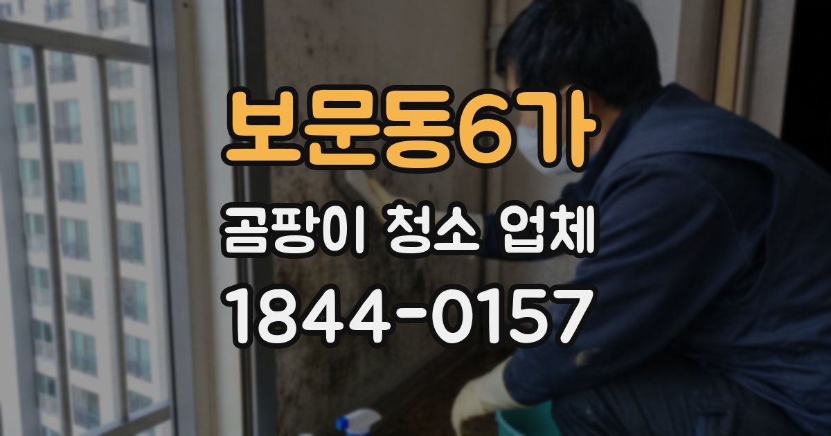 보문동6가 곰팡이 청소 업체