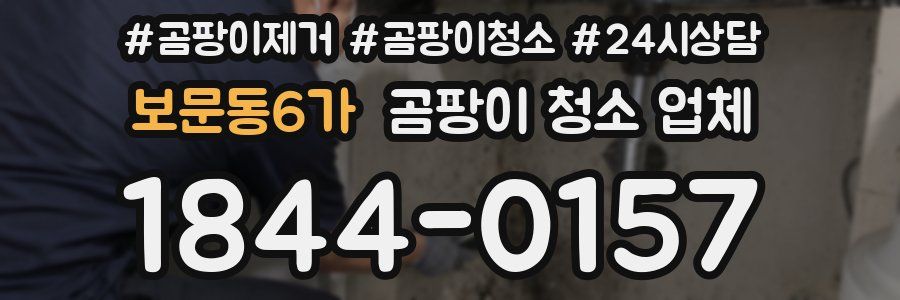 보문동6가 곰팡이 청소 업체