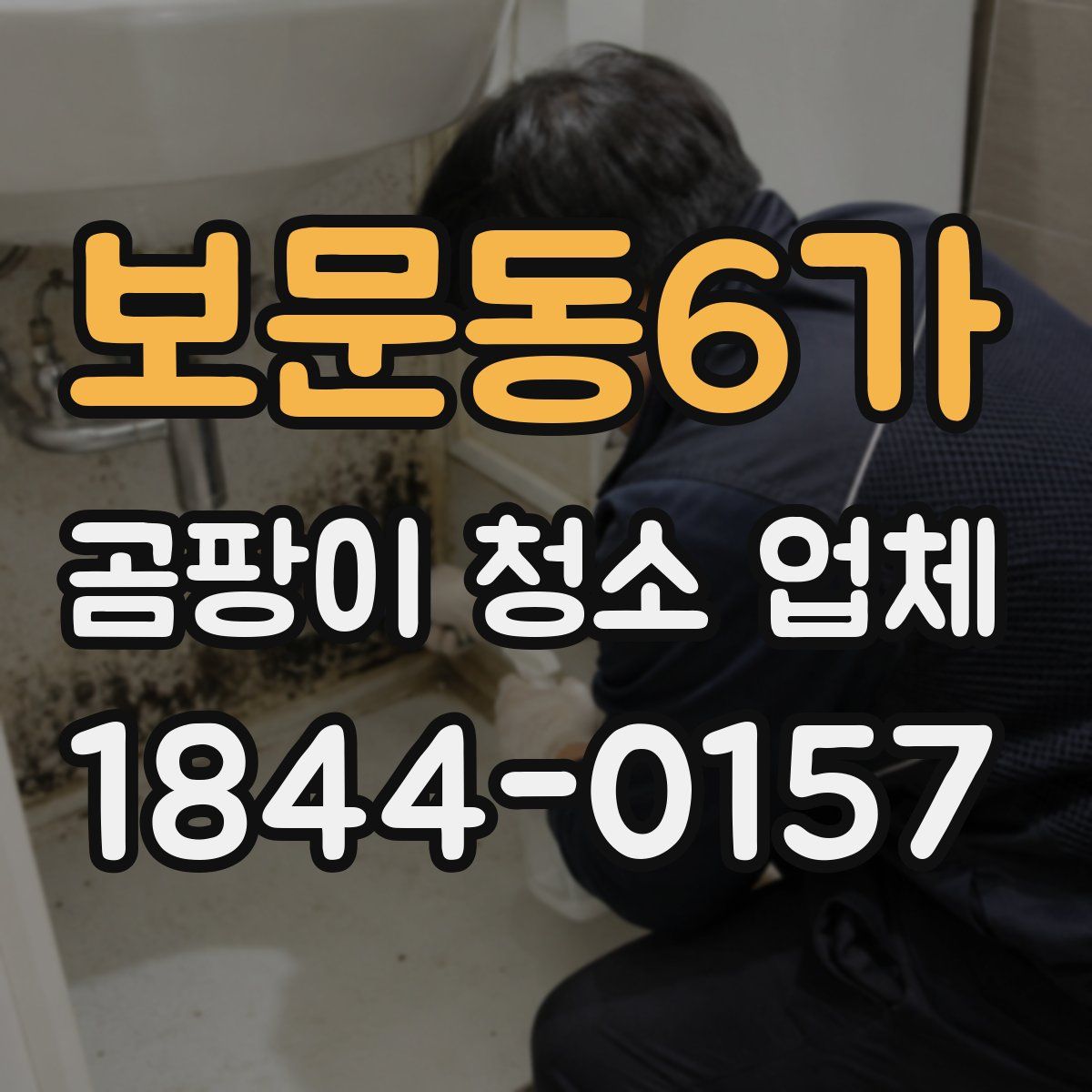 보문동6가 곰팡이 청소 업체