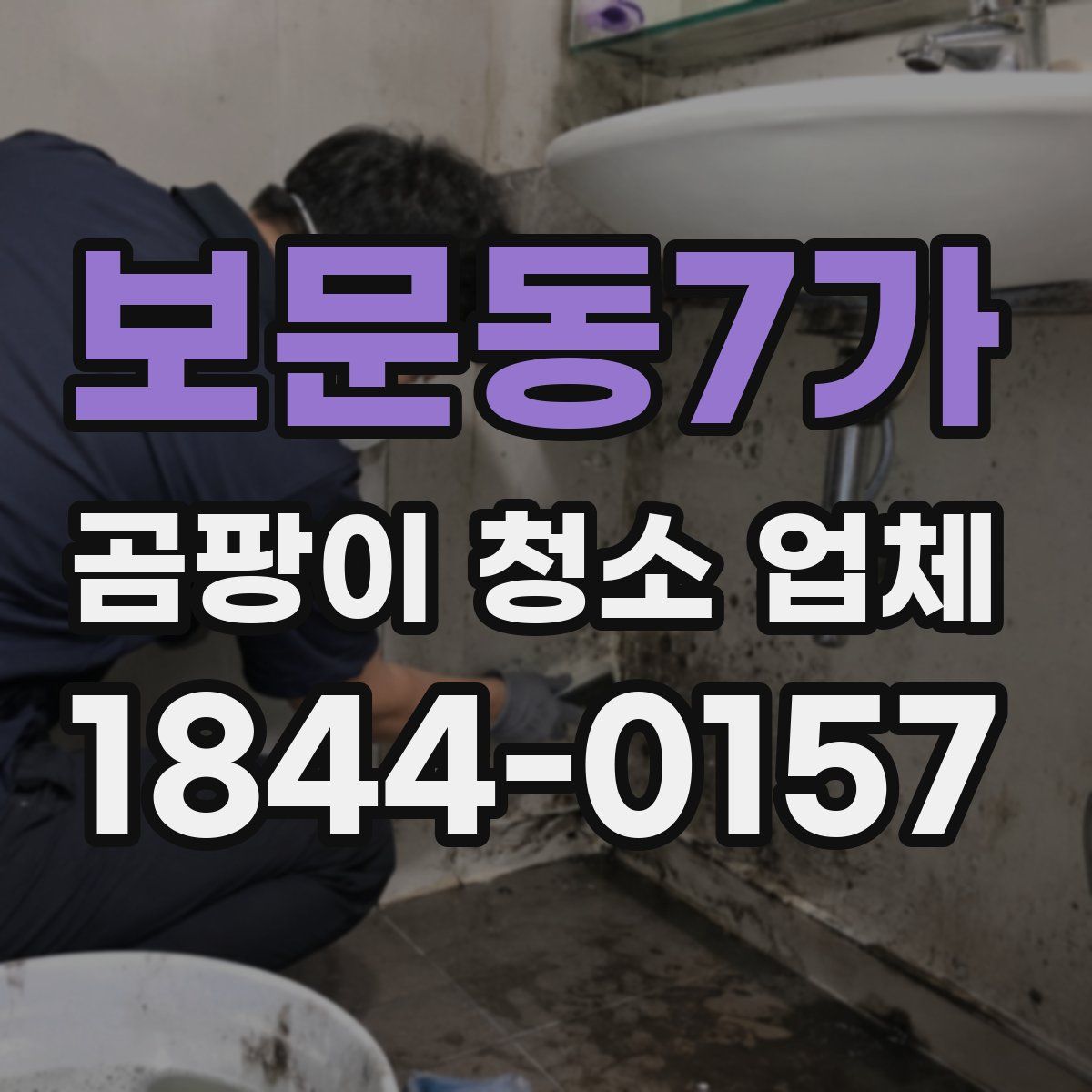 보문동7가 곰팡이 청소 업체