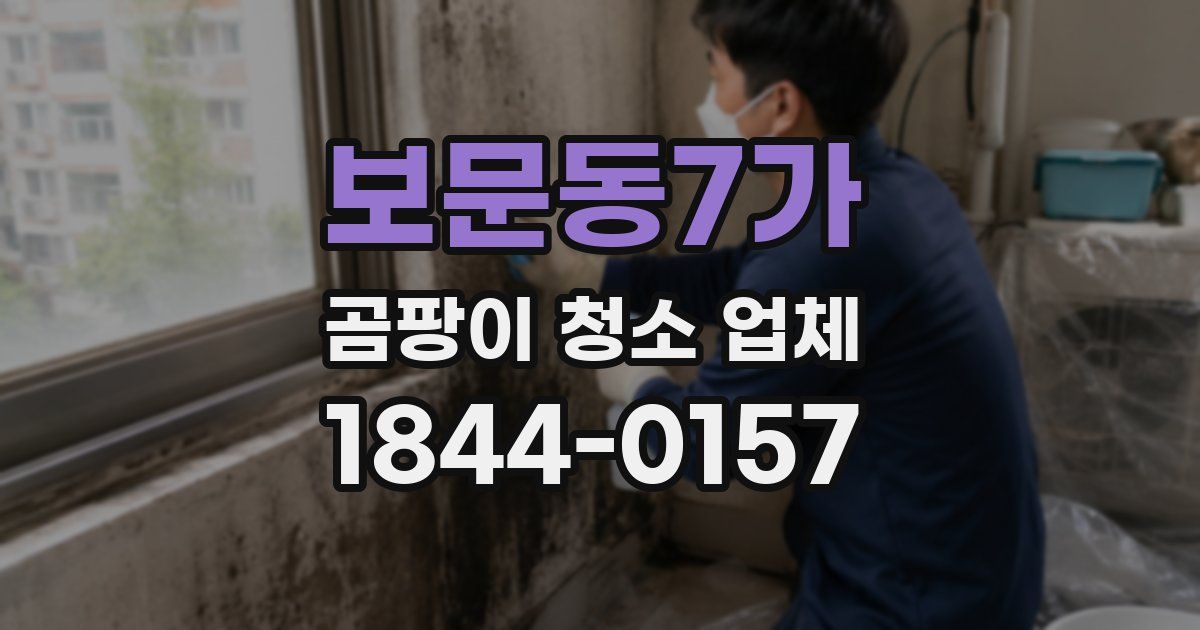 보문동7가 곰팡이 청소 업체