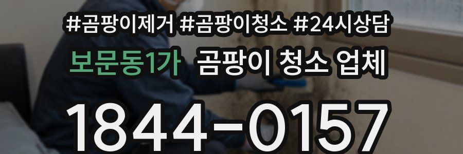 보문동1가 곰팡이 청소 업체